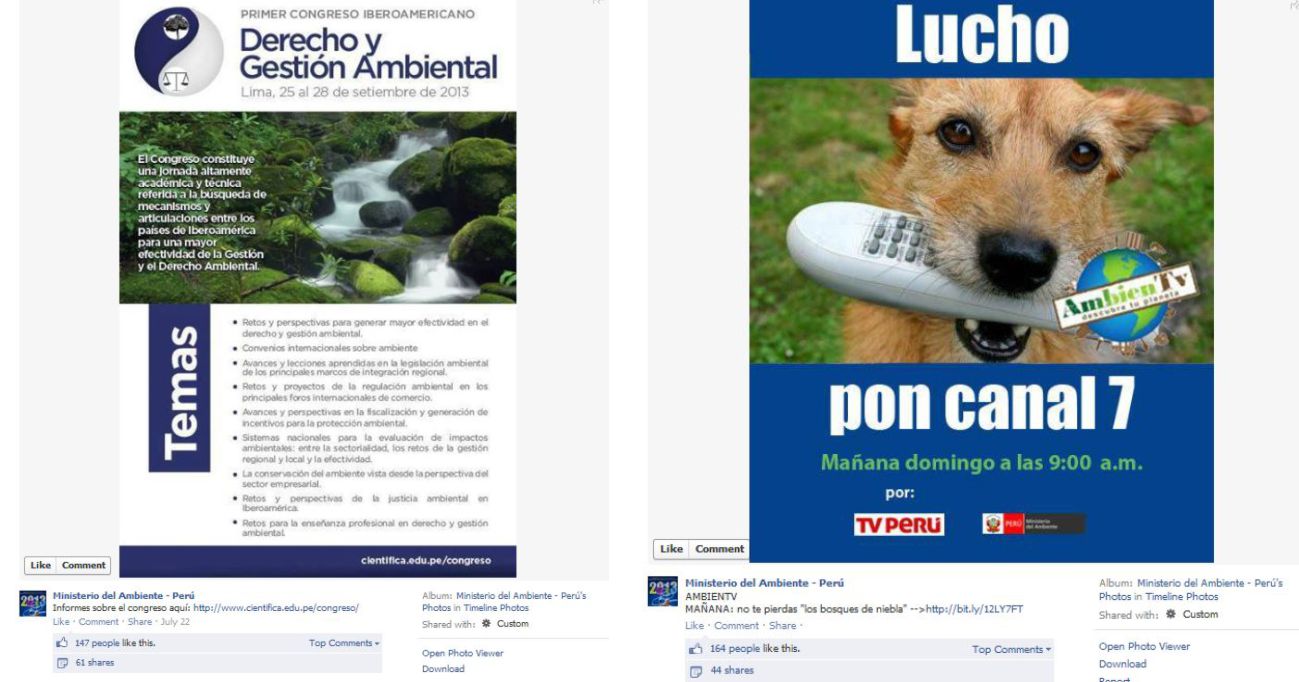 Al costado un afiche del MINAM con alto número de likes y un afiche con una solución intermedia: un perrito y un mensaje "más institucional".